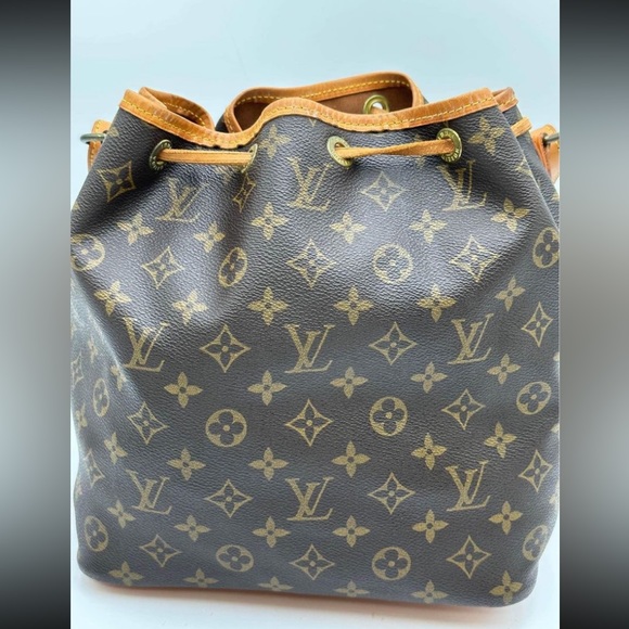 Petit Noe - Picture 6 of 10